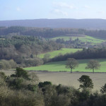 Portrait view of a landscape showing rolling hills and trees