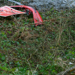 Dense green undergrowth with a road sign and red bumper in the top left hand corner
