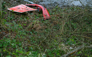Dense green undergrowth with a road sign and red bumper in the top left hand corner